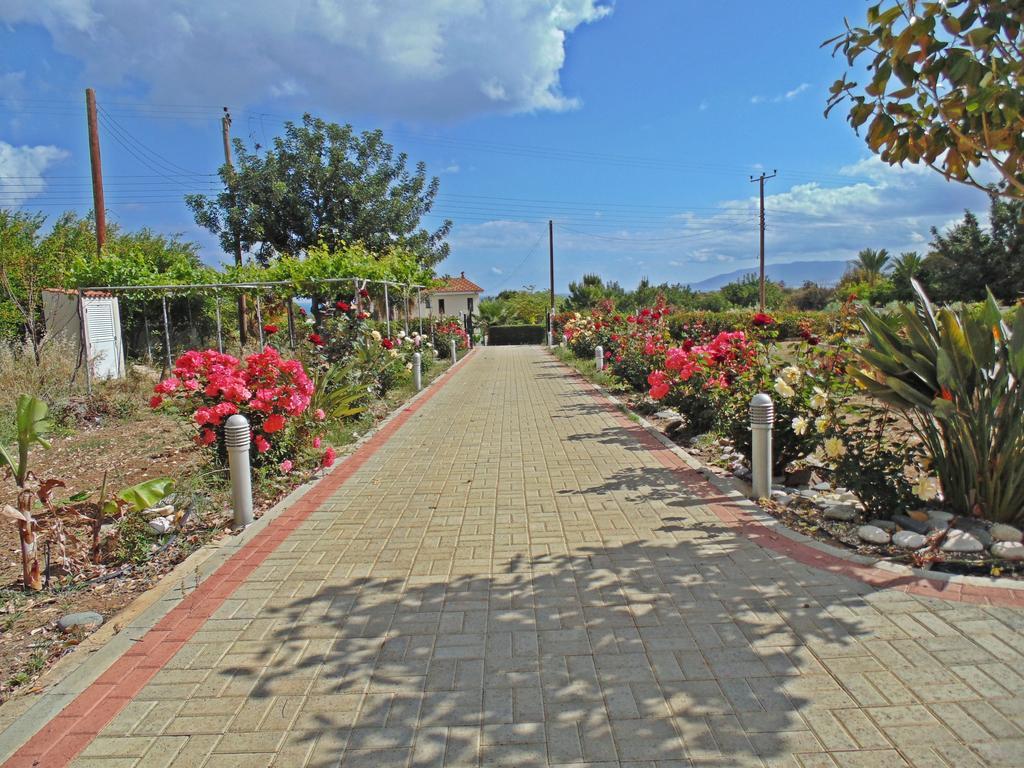 Eliofos Luxury Villa Polis Ngoại thất bức ảnh